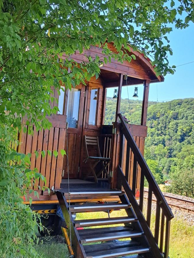 Autarkes Tiny House Mit Rheinblick Appartement Rumikon Buitenkant foto